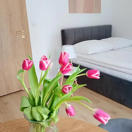 Slow Apartament
